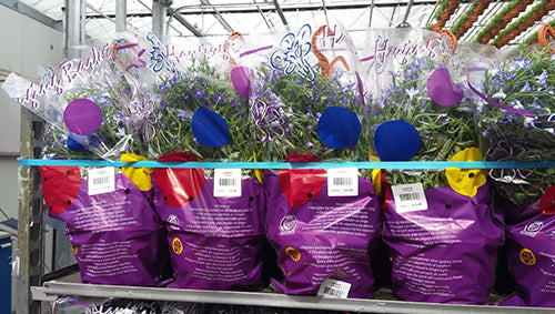 Omsnoeringsmachine: M PAC HE