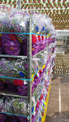 Omsnoeringsmachine: M PAC HE